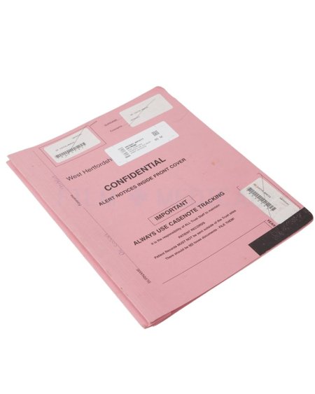 Confidential File Pink
